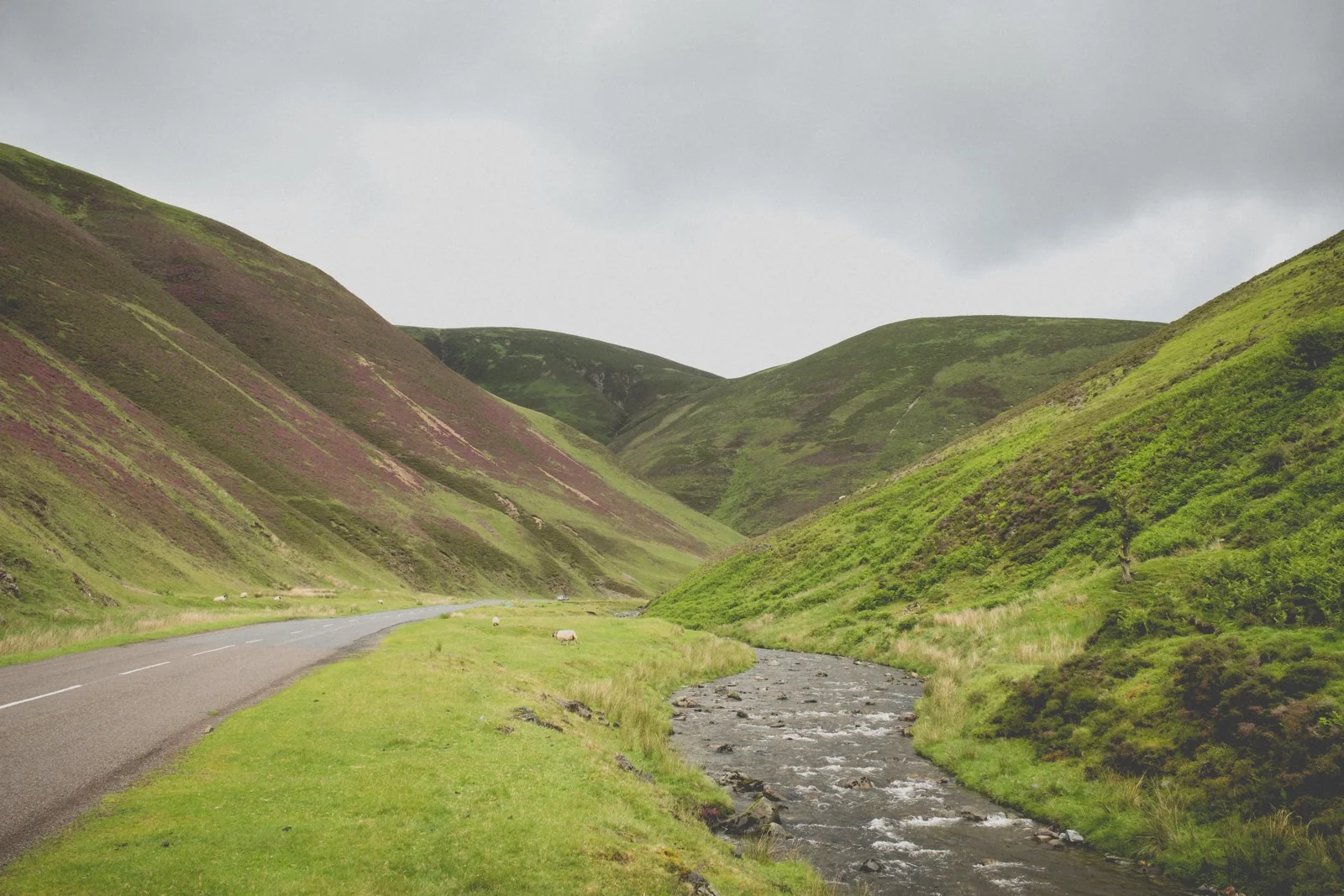 Road through green hills